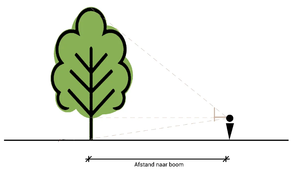 hoogte boom of object berekenen